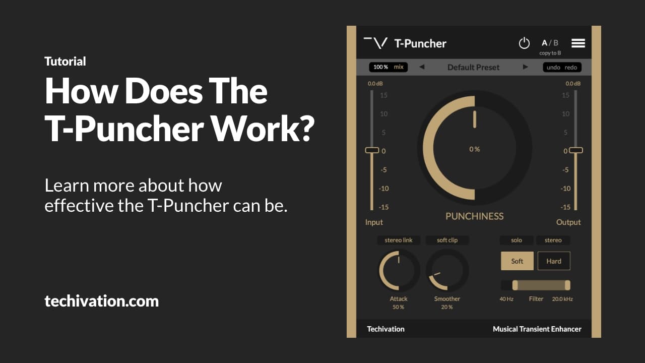 Tutorial:How does the T-Puncher work?